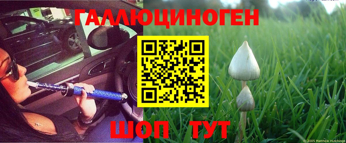 Галлюциногенные грибы Cubensis  Вход с VPN  Галлюциногенные грибы Psilocybine cubensis  как найти наркотики  Воткинск 